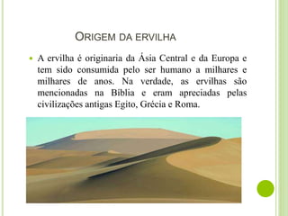 ORIGEM DA ERVILHA
 A ervilha é originaria da Ásia Central e da Europa e
tem sido consumida pelo ser humano a milhares e
milhares de anos. Na verdade, as ervilhas são
mencionadas na Bíblia e eram apreciadas pelas
civilizações antigas Egito, Grécia e Roma.
 