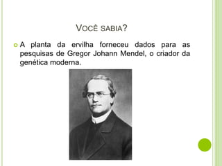 VOCÊ SABIA?
 A planta da ervilha forneceu dados para as
pesquisas de Gregor Johann Mendel, o criador da
genética moderna.
 