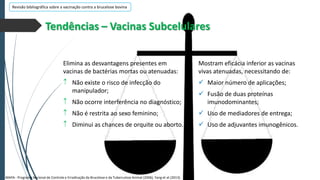 Revisão bibliográfica sobre a vacinação contra a brucelose bovina

Tendências – Vacinas Subcelulares
Elimina as desvantagens presentes em
vacinas de bactérias mortas ou atenuadas:
Não existe o risco de infecção do
manipulador;

Mostram eficácia inferior as vacinas
vivas atenuadas, necessitando de:
 Maior número de aplicações;

Não ocorre interferência no diagnóstico;

 Fusão de duas proteínas
imunodominantes;

Não é restrita ao sexo feminino;

 Uso de mediadores de entrega;

Diminui as chances de orquite ou aborto.

 Uso de adjuvantes imunogênicos.

MAPA - Programa Nacional de Controle e Erradicação da Brucelose e da Tuberculose Animal (2006), Yang et at (2013).

 
