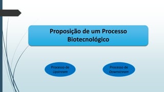 Proposição de um Processo
Biotecnológico

Processo de
Upstream

Processo de
Downstream

 