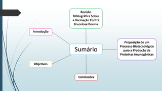 Revisão
Bibliográfica Sobre
a Vacinação Contra
Brucelose Bovina
Introdução

Sumário
Objetivos

Conclusões

Proposição de um
Processo Biotecnológico
para a Produção de
Proteínas Imunogênicas

 