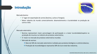 Introdução
Mercado bovino:
 1° lugar em exportação de carnes (bovinos, suínos e frangos);
 Maior rebanho do mundo comercialmente: desenvolvimento e lucratividade na produção de
carne e leite.

Mercado veterinário:
 Bovinos representam maior porcentagem de participação e a maior lucratividade/espécie na
produção de insumos na indústria de produtos veterinários;
 3° maior no mercado de produtos veterinários mundial;

 Mercado de vacinas:
 Mais de 50% do mercado veterinário é voltado para produtos biológicos e antimicrobianos;
 Produção de imunobiológicos representa 30% do lucro total das indústrias.

GOVERNO BRASILEIRO (2010), IBGE (2011), SINDAN (2012).

 
