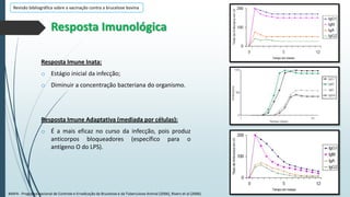 Revisão bibliográfica sobre a vacinação contra a brucelose bovina

Resposta Imunológica
Resposta Imune Inata:
o Estágio inicial da infecção;
o Diminuir a concentração bacteriana do organismo.

Resposta Imune Adaptativa (mediada por células):
o É a mais eficaz no curso da infecção, pois produz
anticorpos bloqueadores (específico para o
antígeno O do LPS).

MAPA - Programa Nacional de Controle e Erradicação da Brucelose e da Tuberculose Animal (2006), Rivers et al (2006).

 