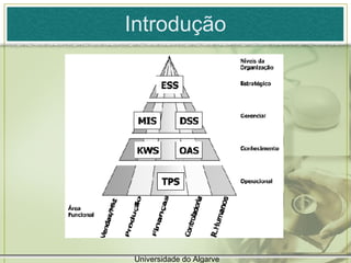 Introdução Universidade do Algarve 