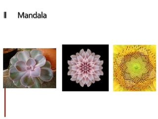 Mandala
Estamos rodeados por mandalas
 