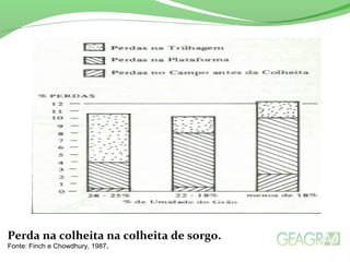 Perda na colheita na colheita de sorgo.
Fonte: Finch e Chowdhury, 1987.
 