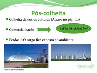 Pós-colheita
Colheita de outras culturas (Atraso no plantio)
Comercialização
Perdas!!! O sorgo fica exposto ao ambiente;
Fonte: CASP Armazéns
FALTA DE ARMAZÉNS
 