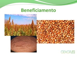 Beneficiamento
 