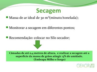 Secagem
Massa de ar ideal de 30 m³(minuto/tonelada);
Monitorar a secagem em diferentes pontos;
Recomendação: colocar no Silo secador;
Temperatura abaixo de 32° C
Câmadas de até 0,4 metros de altura, e realizar a secagem até a
superfície da massa de grãos atingir 13% de umidade.
(Embrapa Milho e Sorgo)
 