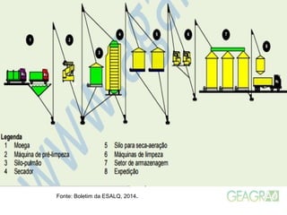 Fonte: Boletim da ESALQ, 2014.
 