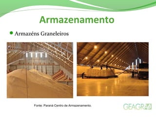Armazenamento
Armazéns Graneleiros
Fonte: Paraná Centro de Armazenamento.
 