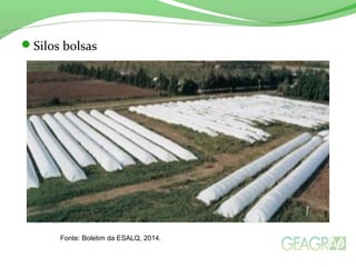 Silos bolsas
Fonte: Boletim da ESALQ, 2014.
 