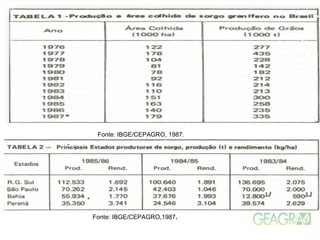 Fonte: IBGE/CEPAGRO,1987.
Fonte: IBGE/CEPAGRO, 1987.
 