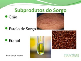Subprodutos do Sorgo
Grão
Farelo de Sorgo
Etanol
Fonte: Google Imagens.
 