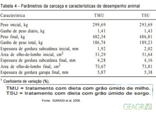 Fonte: IGARASI et al, 2008.
 