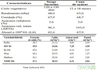 Fonte: Cunha et al, 2010.
 