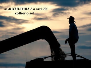 AGRICULTURA é a arte de
colher o sol...
 
