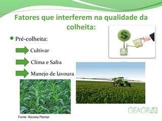 Fatores que interferem na qualidade da
colheita:
Pré-colheita:
Cultivar
Clima e Safra
Manejo de lavoura
Fonte: Revista Plantar
 