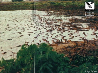 Jorge Bruno Gestão da Qualidade 