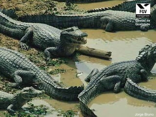 Jorge Bruno Gestão da Qualidade 