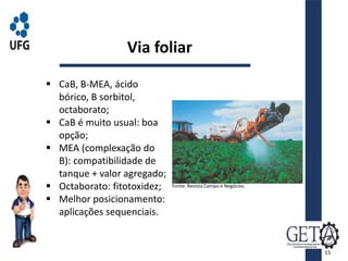  CaB, B-MEA, ácido
bórico, B sorbitol,
octaborato;
 CaB é muito usual: boa
opção;
 MEA (complexação do
B): compatibilidade de
tanque + valor agregado;
 Octaborato: fitotoxidez;
 Melhor posicionamento:
aplicações sequenciais.
Via foliar
15
Fonte: Revista Campo e Negócios.
 
