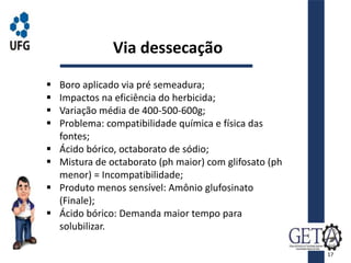  Boro aplicado via pré semeadura;
 Impactos na eficiência do herbicida;
 Variação média de 400-500-600g;
 Problema: compatibilidade química e física das
fontes;
 Ácido bórico, octaborato de sódio;
 Mistura de octaborato (ph maior) com glifosato (ph
menor) = Incompatibilidade;
 Produto menos sensível: Amônio glufosinato
(Finale);
 Ácido bórico: Demanda maior tempo para
solubilizar.
Via dessecação
17
 