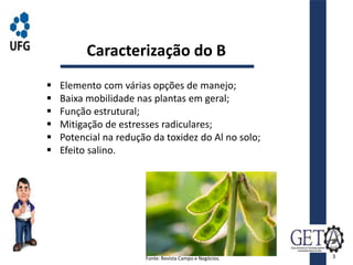 Caracterização do B
 Elemento com várias opções de manejo;
 Baixa mobilidade nas plantas em geral;
 Função estrutural;
 Mitigação de estresses radiculares;
 Potencial na redução da toxidez do Al no solo;
 Efeito salino.
Fonte: Revista Campo e Negócios. 3
 
