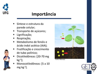 Importância
 Síntese e estrutura da
parede celular;
 Transporte de açúcares;
 Lignificação;
 Respiração;
 Metabolismo de fenóis e
ácido indol acético (AIA);
 Frutificação e crescimento
de tubo polínico;
 Dicotiledôneas: [20-70 mg
kg-1];
 Monocotiledôneas: [5 a 10
mg kg-1].
Fonte: Maissoja.
4
 