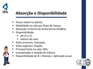 Absorção e Disponibilidade
 Pouco móvel na planta;
 Mobilidade no solo por fluxo de massa;
 Absorção na forma de ácido bórico (H3BO3);
 Disponibilidade:
 pH (5 a 7);
 textura do solo;
 Solos arenosos: lixiviação;
 Solos argilosos: fixação;
 Principal fonte no solo: MO;
 Incorporação e rotação de cultura;
 Disponibilidade de B = Manejo + Aplicação anual.
6
 