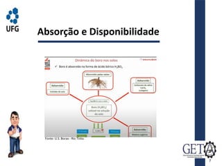 Absorção e Disponibilidade
Fonte: U.S. Borax - Rio Tinto.
7
 