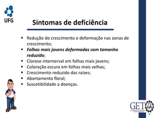 Sintomas de deficiência
 Redução do crescimento e deformação nas zonas de
crescimento;
 Folhas mais jovens deformadas com tamanho
reduzido;
 Clorose internerval em folhas mais jovens;
 Coloração escura em folhas mais velhas;
 Crescimento reduzido das raízes;
 Abortamento floral;
 Suscetibilidade a doenças.
8
 