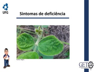 Sintomas de deficiência
9
Fonte: Aegro.
 