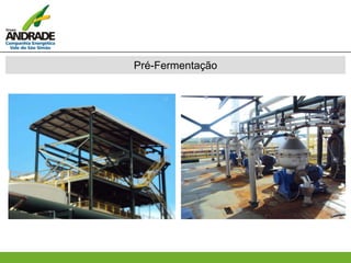 Pré-Fermentação
 