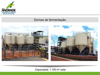 Dornas de fermentação
Capacidade: 1.100 m³ cada
 