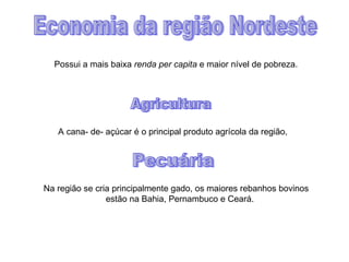 Possui a mais baixa  renda per capita  e maior nível de pobreza. Economia da região Nordeste A cana- de- açúcar é o principal produto agrícola da região,  Agricultura Na região se cria principalmente gado, os maiores rebanhos bovinos  estão na Bahia, Pernambuco e Ceará. Pecuária 