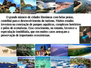 O grande número de cidades litorâneas com belas praias, contribui para o desenvolvimento do turismo. Muitos estados investem na construção de parques aquáticos, complexos hoteleiros e pólos de ecoturismo. Esse crescimento, no entanto, favorece a especulação imobiliária, que em muitos casos ameaçam a preservação de importantes ecossistemas.  