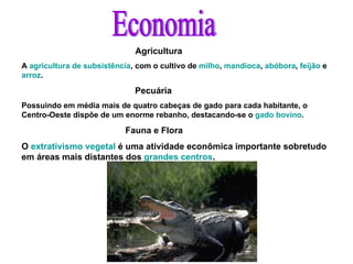 Economia Agricultura A  agricultura de subsistência , com o cultivo de  milho ,  mandioca ,  abóbora ,  feijão  e  arroz .   Pecuária Possuindo em média mais de quatro cabeças de gado para cada habitante, o Centro-Oeste dispõe de um enorme rebanho, destacando-se o  gado bovino .  Fauna e Flora O  extrativismo vegetal  é uma atividade econômica importante sobretudo em áreas mais distantes dos  grandes centros .   