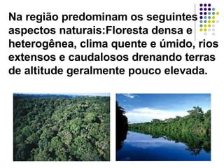 Na região predominam os seguintes aspectos naturais:Floresta densa e heterogênea, clima quente e úmido, rios extensos e caudalosos drenando terras de altitude geralmente pouco elevada. 
