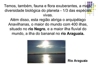 Temos, também, fauna e flora exuberantes, a maior diversidade biológica do planeta - 1/3 das espécies vivas. Além disso, esta região abriga o arquipélago Anavilhanas, o maior do mundo com 400 ilhas, situado no  rio Negro , e a maior ilha fluvial do mundo, a ilha do bananal no  rio Araguaia. Rio Araguaia 