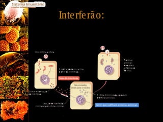 Interferão: Os interferões são proteínas produzidas pelas células infectadas por um vírus e que protegem outras células de serem infectadas pelo mesmo ou outro vírus (criando um estado de resistência antiviral). 