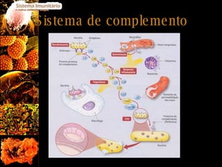Sistema de complemento 