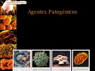 Agentes Patogénicos São agentes biológicos que possuem a capacidade de infectar os animais causando-lhes doenças; Podem ser bactérias, vírus, fungos, e animais parasitas. 
