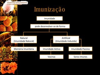 Imunização Imunidade pode desenvolver-se de forma Natural (Imunidade Natural) Artificial (Imunidade Induzida) Memória Imunitária Imunidade Activa Imunidade Passiva Vacinas Soros Imunes 