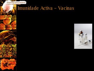 Imunidade Activa – Vacinas As vacinas são substâncias, geralmente sob a forma de solução, que contêm agentes patogénicos mortos ou atenuados, de modo a que estes estimulem o sistema imunitário, sem se desenvolverem. Fig.19  Vacina Após a administração da vacina verifica-se a ocorrência de uma resposta imunitária primária, havendo, deste modo, a produção de células efectoras e de células de memória, sendo que estas últimas possibilitam uma melhor resposta caso o organismo seja de novo invadido pelo mesmo agente patogénico. Quanto à duração das vacinas, estas podem permitir uma imunidade prolongada (até mesmo vitalícia), ou então necessitar de ser administradas de forma periódica de modo a reforçar a imunização. Este reforço da imunização pode dever-se ao desaparecimento das células memória ou a mutações do agente patogénico, sendo o vírus da gripe um exemplo de agente patogénico que apresenta uma elevada e constante taxa de mutação. 