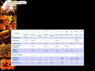 Em Portugal, as vacinas começaram a ser utilizadas a partir do século XIX e a primeira vacina a ser administrada foi a anti-variólica, que chegou a Portugal dentro de um pequeno frasco e foi utilizada por D. Pedro, futuro imperador do Brasil, e pelo seu irmão. Só a partir de 1965 é que se desenvolveu um Programa Nacional de Vacinação (PVN), que contribuiu largamente para o controlo da vacinação e para uma maior prevenção de doenças, por parte de toda a população. Tabela I.  Vacinas que fazem parte do PNV. 