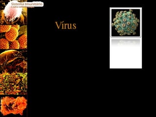 Vírus Alguns exemplos de doenças causadas por vírus são: Gripe (vírus - Influenza) Sida (vírus - HIV) Hepatites (vírus - HBV, HCV ) 