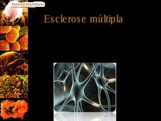 Esclerose múltipla Afecta, geralmente, jovens adultos, causando lesões progressivas no sistema nervoso. Envolve reacções mediadas por células T e por células B sobre duas das principais proteínas da mielina. 