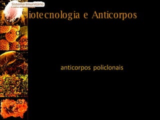 Biotecnologia e Anticorpos Os anticorpos são reagentes altamente específicos, pelo que, podem ser usados como detectores de diversas estruturas químicas e biológicas. Os anticorpos produzidos pelo nosso organismo designam-se de  anticorpos policlonais , uma vez que possuem vários determinantes antigénicos. Devido à sua diversidade molecular este tipo de  anticorpos envolve riscos de rejeição e de desencadear uma resposta imunitária por parte do receptor. 