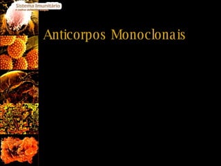 Anticorpos Monoclonais São obtidos em laboratório a partir da estimulação de um único linfócito B; São todos iguais e específicos para apenas um antigénio; 