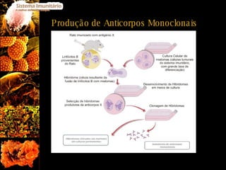Produção de Anticorpos Monoclonais 